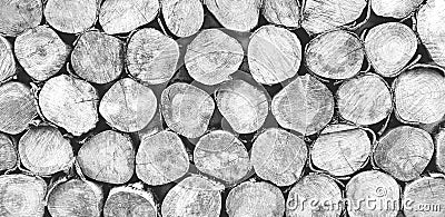 Many log, wood or timber stack for background in black and white tone Stock Photo
