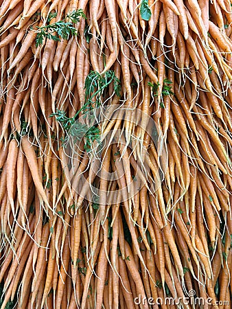 Many Long Thin Carrots in Shop Stock Photo