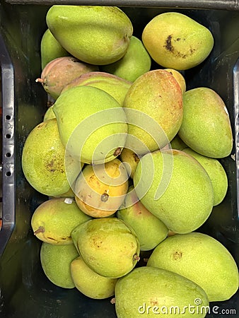 Fruit - Mango Stock Photo