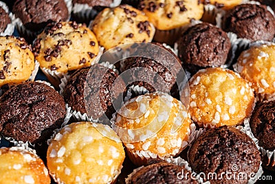 Many mini muffins on dessert buffet - muffin closeup - Stock Photo