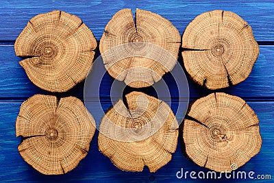 Many oak splits on navy blue background Stock Photo