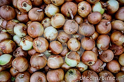 Many onions, top view background Stock Photo