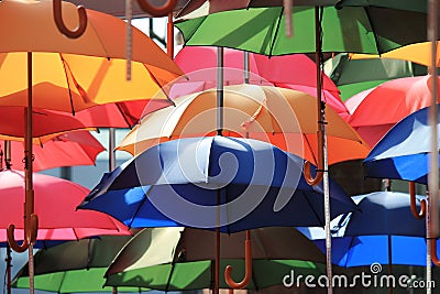 Many open umbrellas Stock Photo