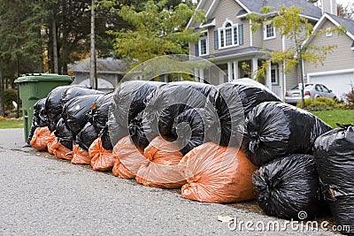 Many orange and green garbage bags at curb Stock Photo