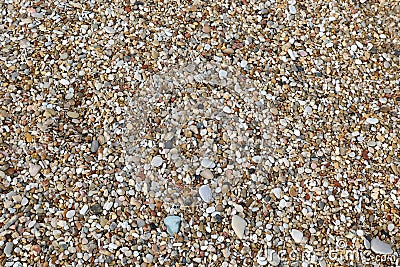 many pebbles on the beach Stock Photo