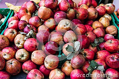 Many piles of apple in the boxes located in the market, the fresh apples Stock Photo