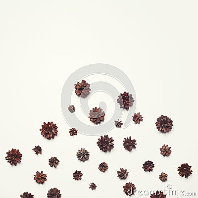 Many pine cones abstract on white background Stock Photo