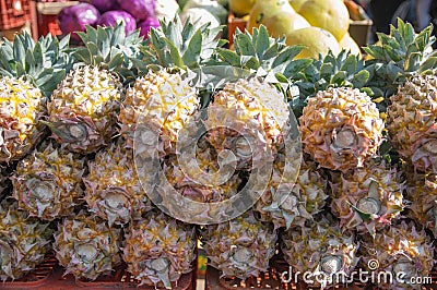 Many pineapples stacked rows Stock Photo