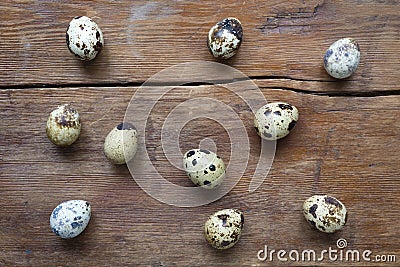 Many quail eggs Stock Photo