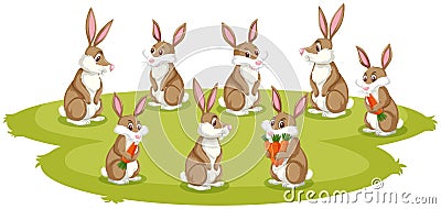 Many rabbits on the green grass Vector Illustration
