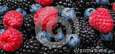 Many raspberries, blackberries, blueberries, background of berries. Stock Photo