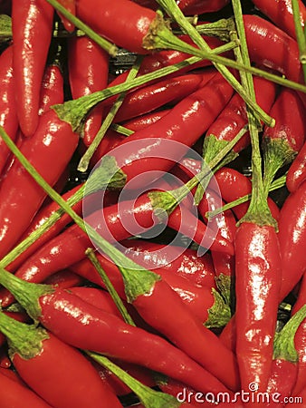 Pile of red hot chilli peppers with green stem for mexican food. Healthy organic capsicum vegetables for asian inspired cooking. Stock Photo