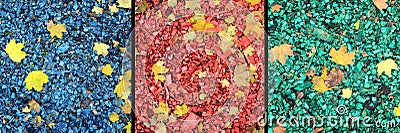 Collage life few fallen dry yellow maple leaves over color painted wooden chips as background top view outdoors closeup Stock Photo