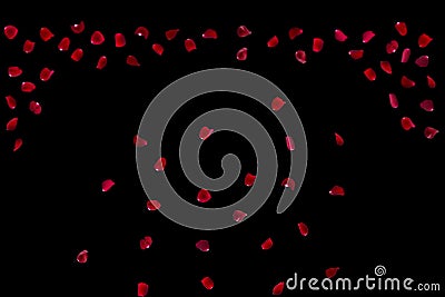 Many rose overlay rose flowers and petal valentine background with falling red rose petals is on black Stock Photo