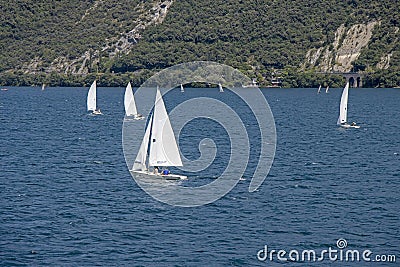 Many small sailboats sail on Lake Lago di Garda Editorial Stock Photo