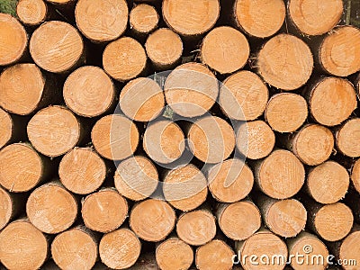 Many stacked wooden trunks Stock Photo