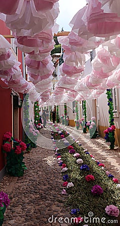 Tomar streets with flower decorations for The Trays Festival Editorial Stock Photo
