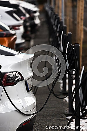 many tesla cars recharging perpendicular Editorial Stock Photo