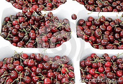 many trays full of red ripe cherries Stock Photo