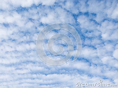 Many white fluffy cumulus clouds Stock Photo