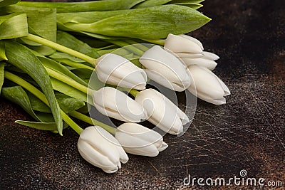 Many white tulips on brown background Stock Photo