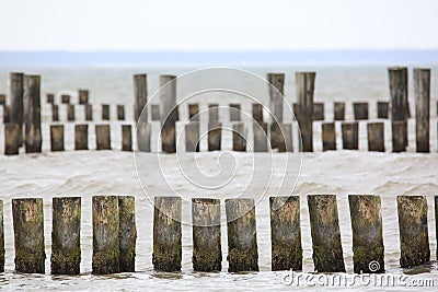 Many wooden groynes in the Baltic Sea Stock Photo