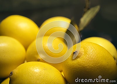 Many yellow lemons Stock Photo