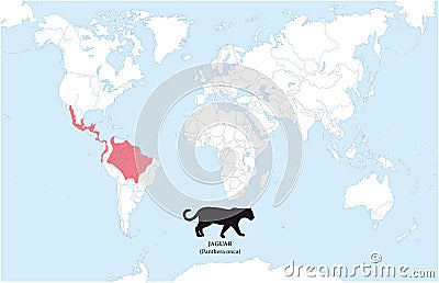 Map of the distribution and habitat of the jaguar Vector Illustration