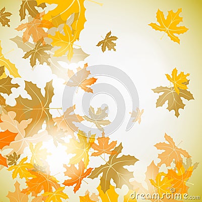 Maple autumn background Vector Illustration