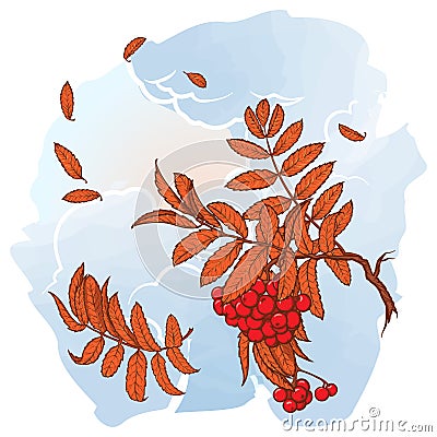 Maple branch. Sketch on watercolor background Vector Illustration