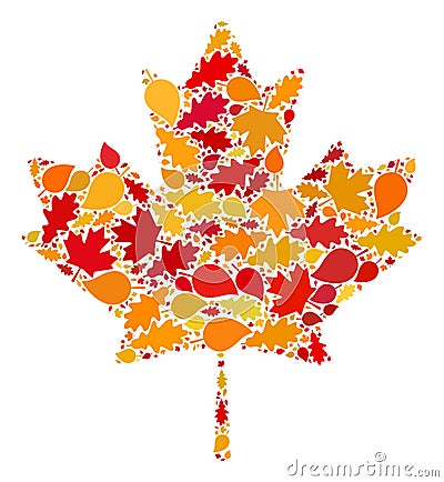 Maple Leaf Autumn Collage Icon with Fall Leaves Vector Illustration