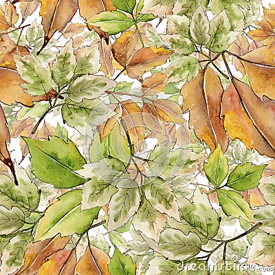 Maple leaf. Leaf plant botanical garden floral foliage. Seamless background pattern. Fabric wallpaper print texture. Stock Photo