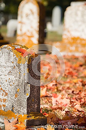 Maple leaf on tombstone in autumn cemetery Stock Photo