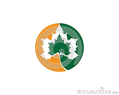 Maple leaf vector icon Vector Illustration