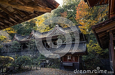 Maple leafs in Mount Yoshino Stock Photo