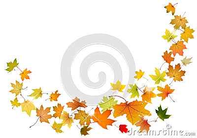 Maple leaves falling Vector Illustration