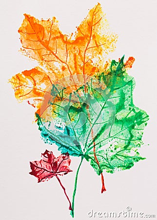 Maple leaves imprint Stock Photo