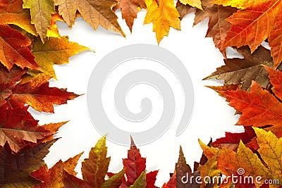 Maple Leaves Mixed Fall Colors Border 2 Stock Photo