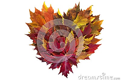 Maple Leaves Mixed Fall Colors Heart Wreath Stock Photo