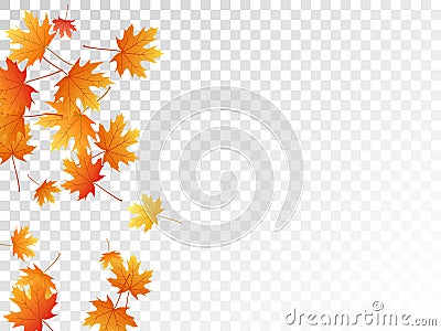 Maple leaves vector illustration, autumn foliage on transparent background. Vector Illustration