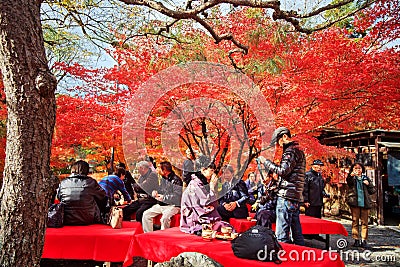 Maple season at fall, Japan Editorial Stock Photo