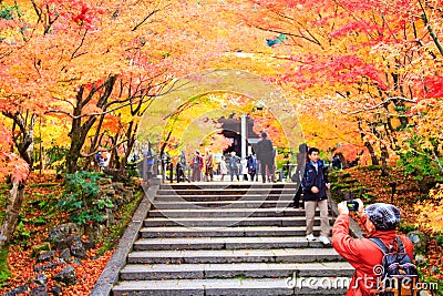 Maple season at fall, Japan Editorial Stock Photo