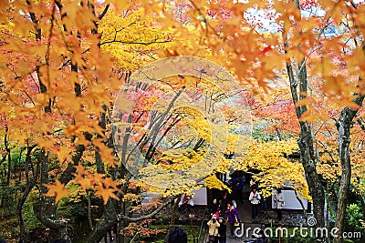 Maple season at fall, Japan Editorial Stock Photo