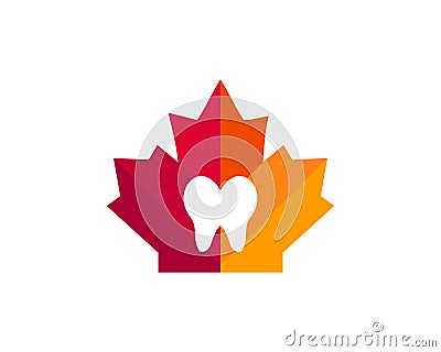 Maple Teeth logo design. Canadian Medical logo. Red Maple leaf with tooth vector Vector Illustration