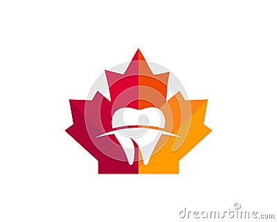 Maple Teeth logo design. Canadian Medical logo. Red Maple leaf with tooth vector Vector Illustration