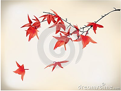 Maple tree Vector Illustration