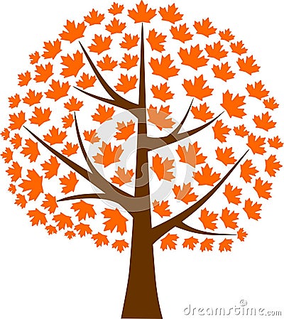 Maple Tree Maple Leaf Vector Illustration