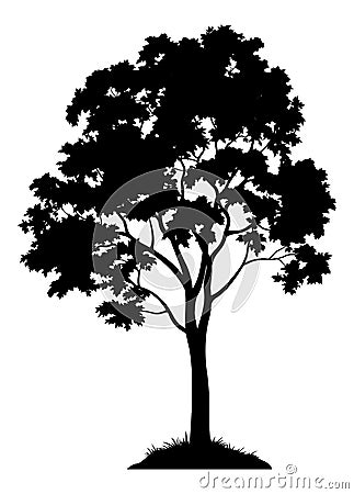 Maple Tree Silhouette Vector Illustration