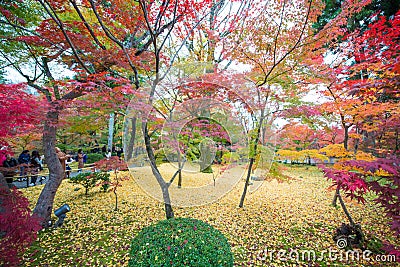 Maple trees with fall foliage colors at Eikando temple Editorial Stock Photo