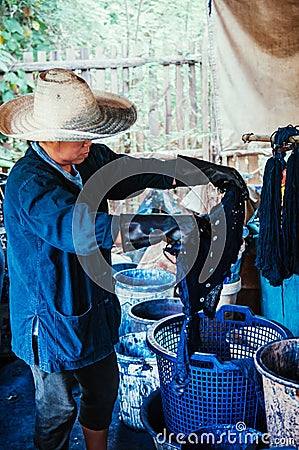 Process of making indigo dye fabric, woman dying fabric with ind Editorial Stock Photo